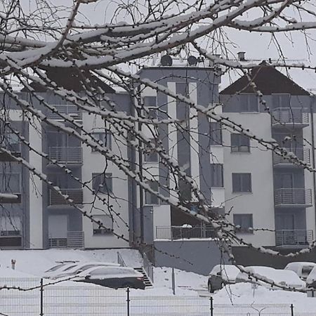 Apartament Szary Wilk Świeradów-Zdrój 外观 照片