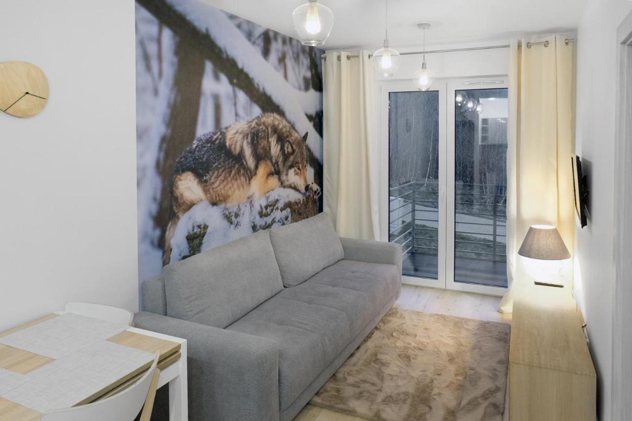 Apartament Szary Wilk Świeradów-Zdrój 外观 照片