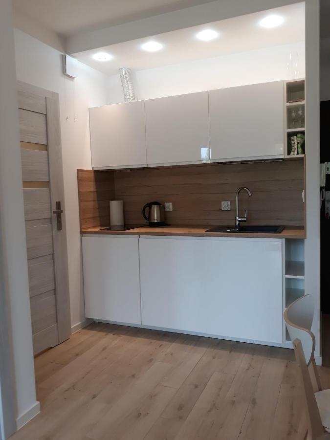 Apartament Szary Wilk Świeradów-Zdrój 外观 照片