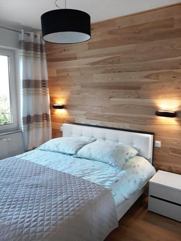 Apartament Szary Wilk Świeradów-Zdrój 外观 照片